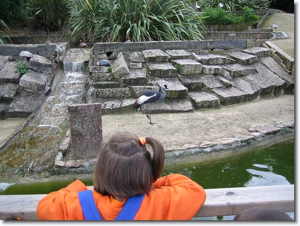 Diapositiva siguiente